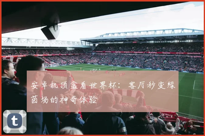 安卓机顶盒看世界杯：客厅秒变绿茵场的神奇体验