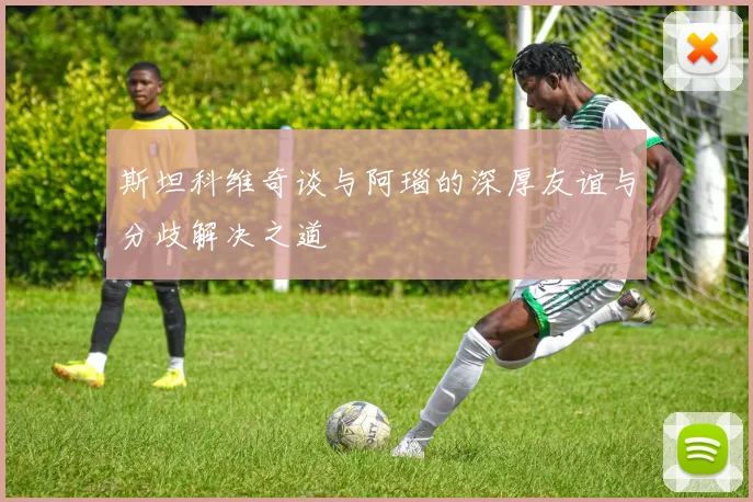 斯坦科维奇谈与阿瑙的深厚友谊与分歧解决之道