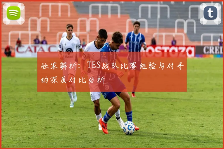 独家解析：TES战队比赛经验与对手的深度对比分析