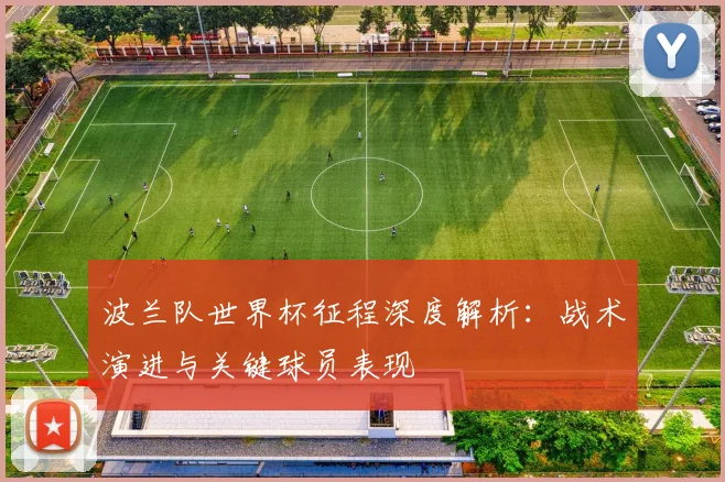 波兰队世界杯征程深度解析：战术演进与关键球员表现