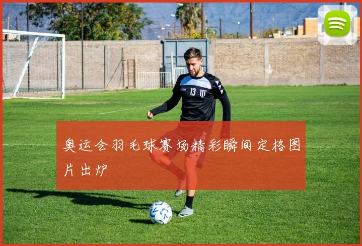 奥运会羽毛球赛场精彩瞬间定格图片出炉